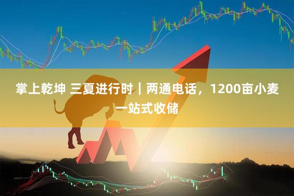 掌上乾坤 三夏进行时｜两通电话，1200亩小麦一站式收储
