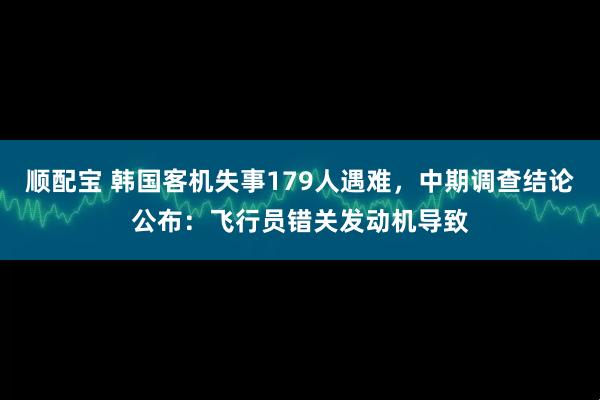 顺配宝 韩国客机失事179人遇难，中期调查结论公布：飞行员错关发动机导致