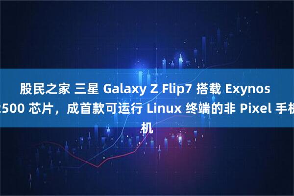 股民之家 三星 Galaxy Z Flip7 搭载 Exynos 2500 芯片，成首款可运行 Linux 终端的非 Pixel 手机