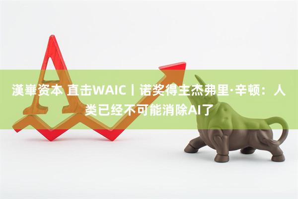 漢崋资本 直击WAIC丨诺奖得主杰弗里·辛顿：人类已经不可能消除AI了