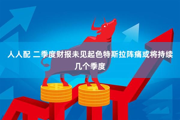 人人配 二季度财报未见起色特斯拉阵痛或将持续几个季度