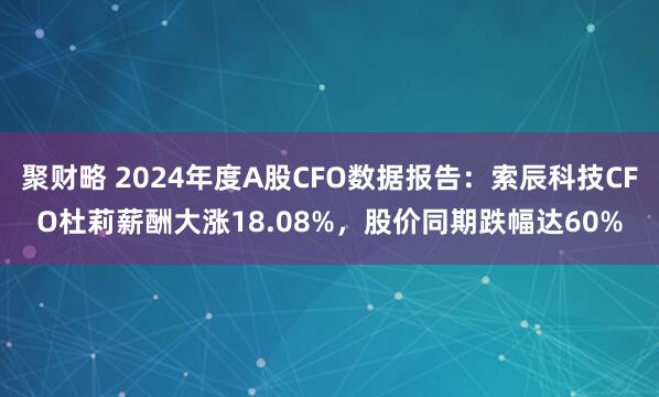 聚财略 2024年度A股CFO数据报告：索辰科技CFO杜莉薪酬大涨18.08%，股价同期跌幅达60%