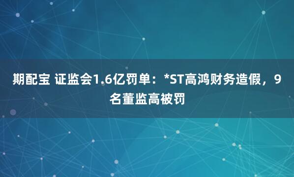 期配宝 证监会1.6亿罚单：*ST高鸿财务造假，9名董监高被罚