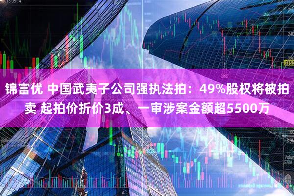 锦富优 中国武夷子公司强执法拍：49%股权将被拍卖 起拍价折价3成、一审涉案金额超5500万