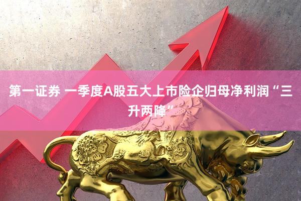 第一证券 一季度A股五大上市险企归母净利润“三升两降”