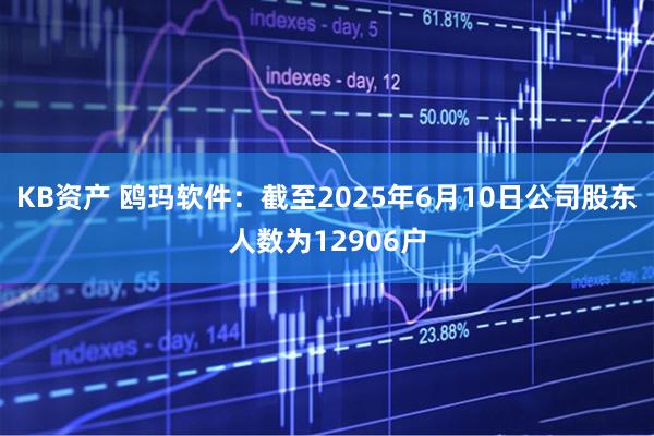 KB资产 鸥玛软件：截至2025年6月10日公司股东人数为12906户