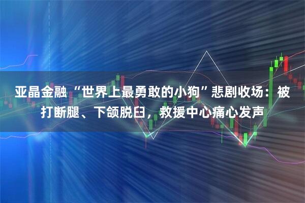 亚晶金融 “世界上最勇敢的小狗”悲剧收场：被打断腿、下颌脱臼，救援中心痛心发声